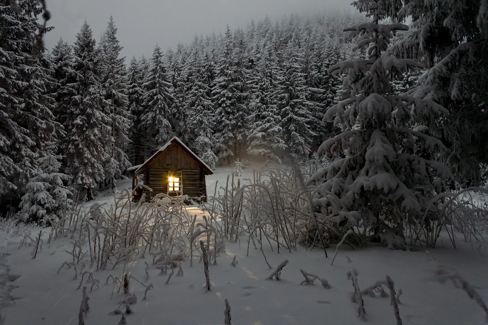 snow